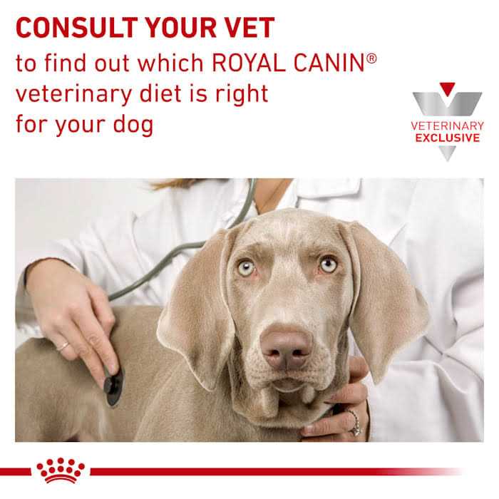 Vegetarian Canned Dog Food W20013