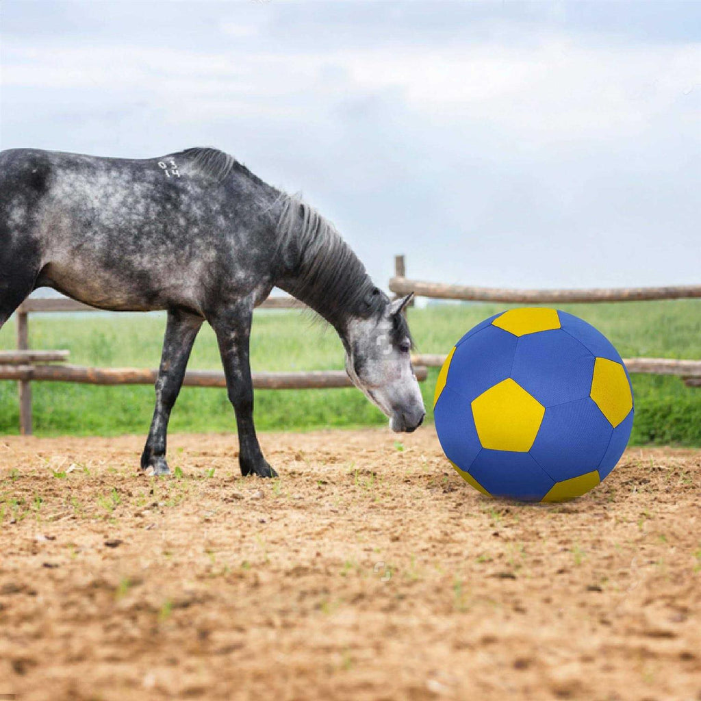 Herding Ball with Hand Pump O92310