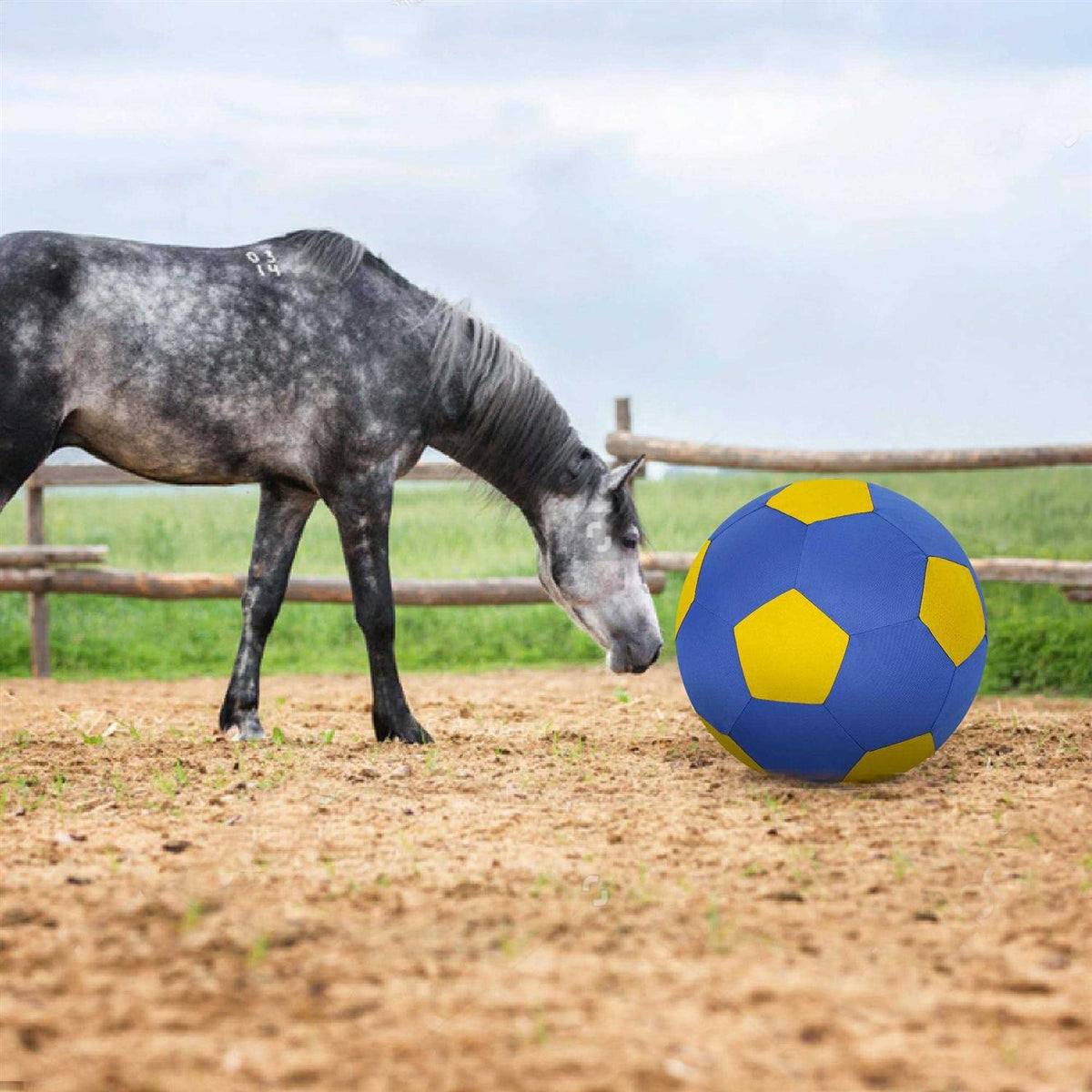 Herding Ball with Hand Pump O92310