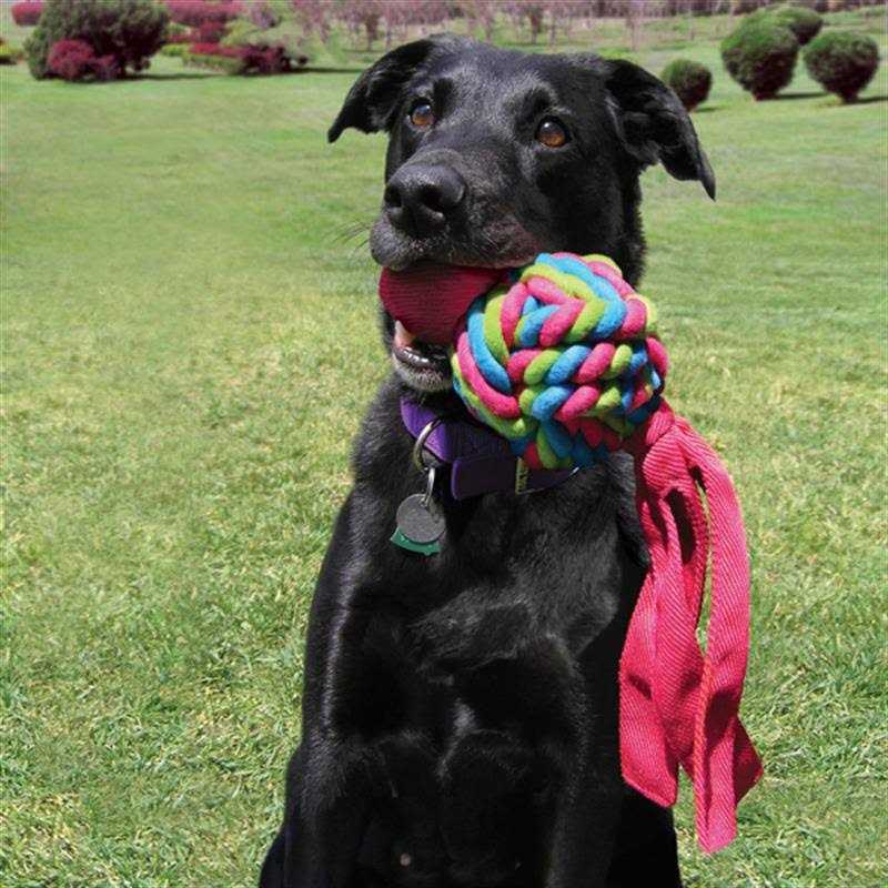 Dog Toy W6666