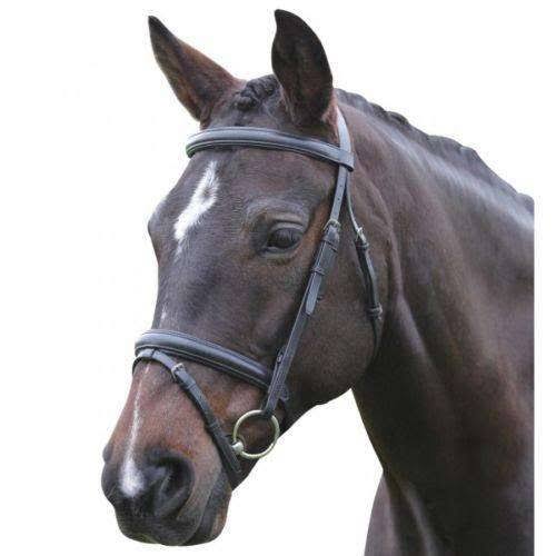 Brown Padded Bridle L444