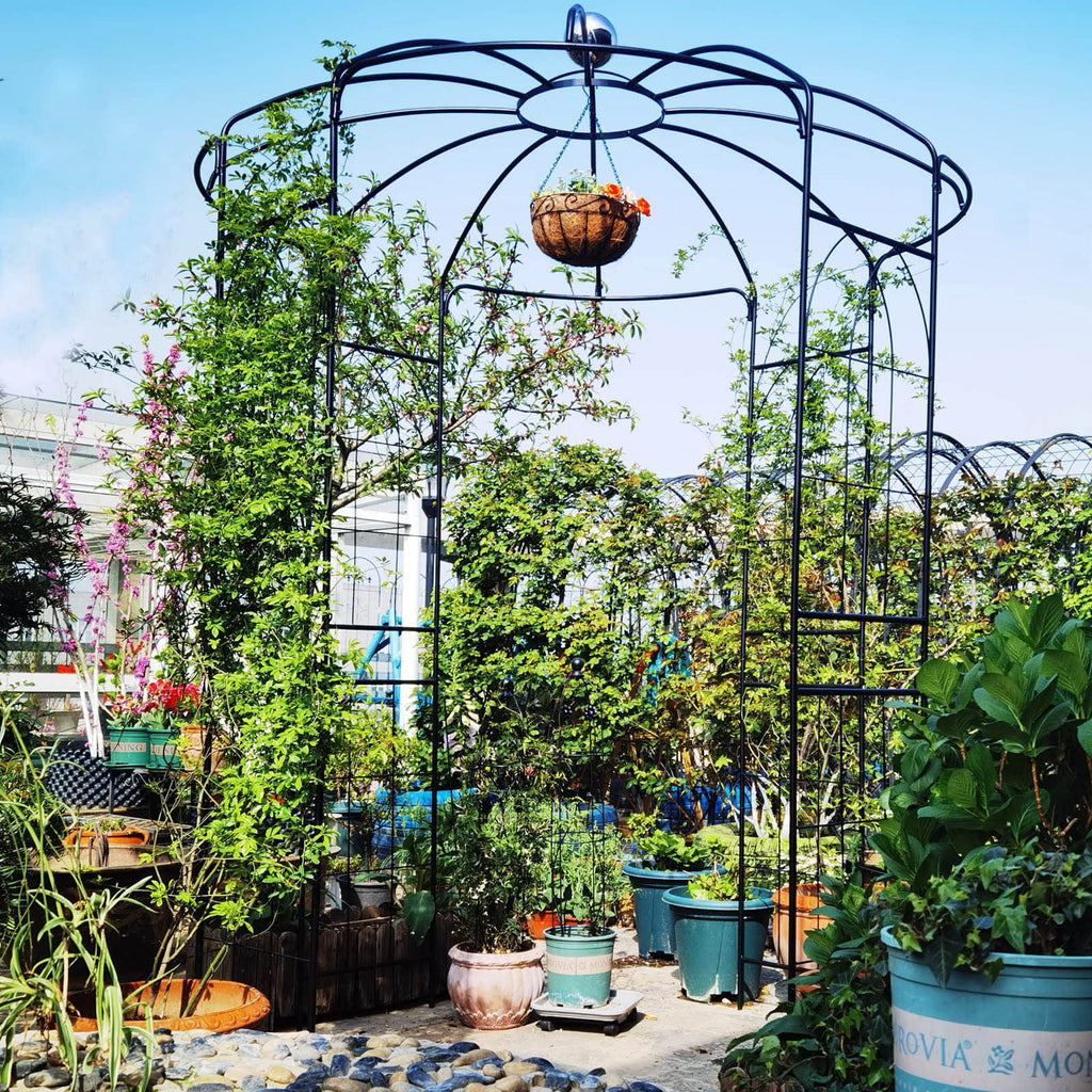 Iron Birdcage-Shaped Metal Garden Arch O708564