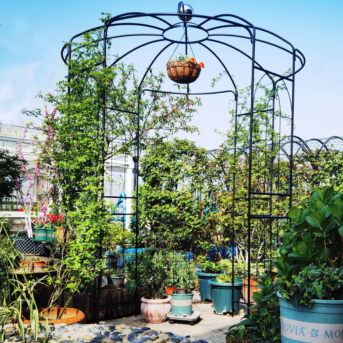 Iron Birdcage-Shaped Metal Garden Arch O708564