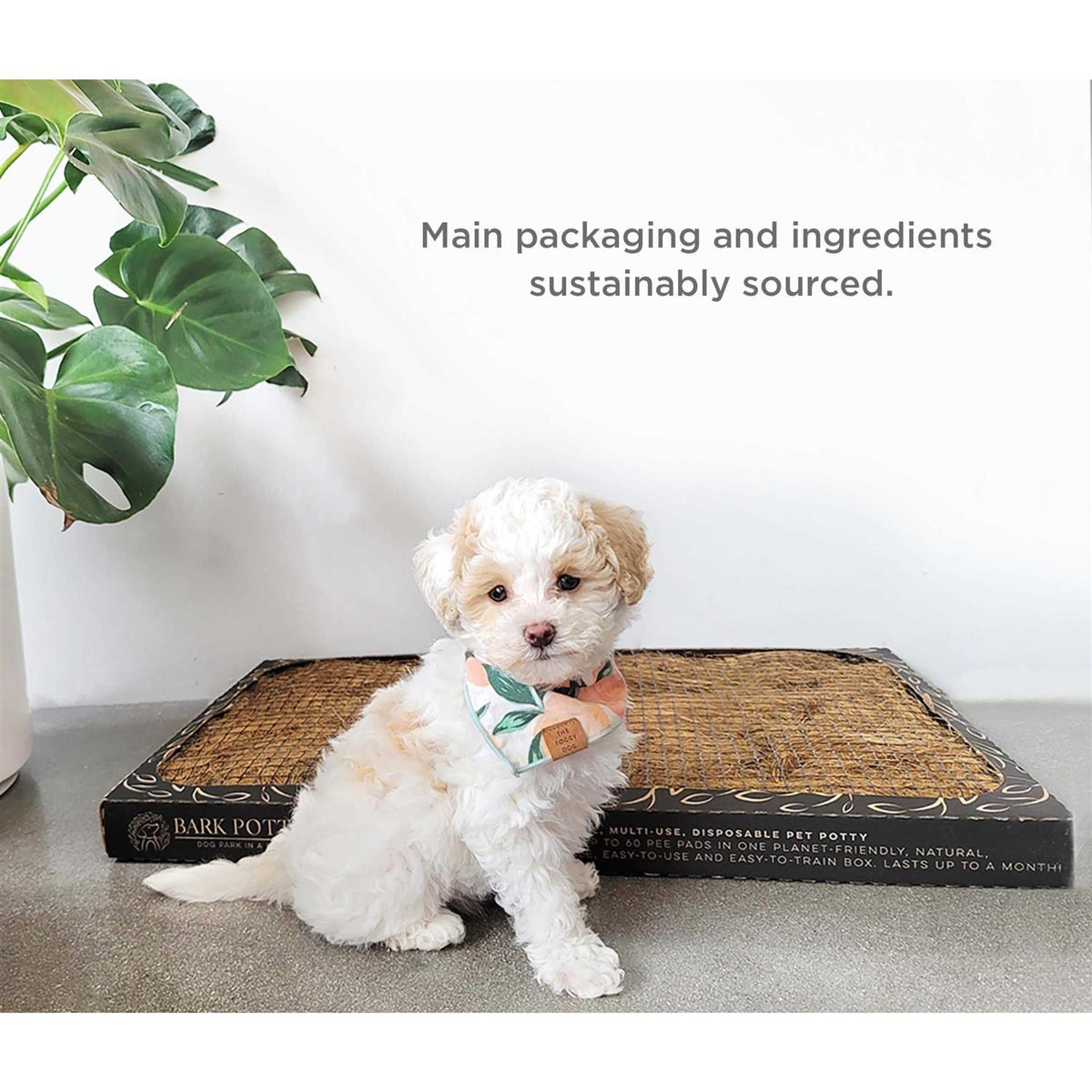 Disposable Dog Potty U737