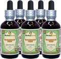 Organic Dried Maidenhair Fern Alcohol-Free Liquid Extract 5x2 fl.oz S854546