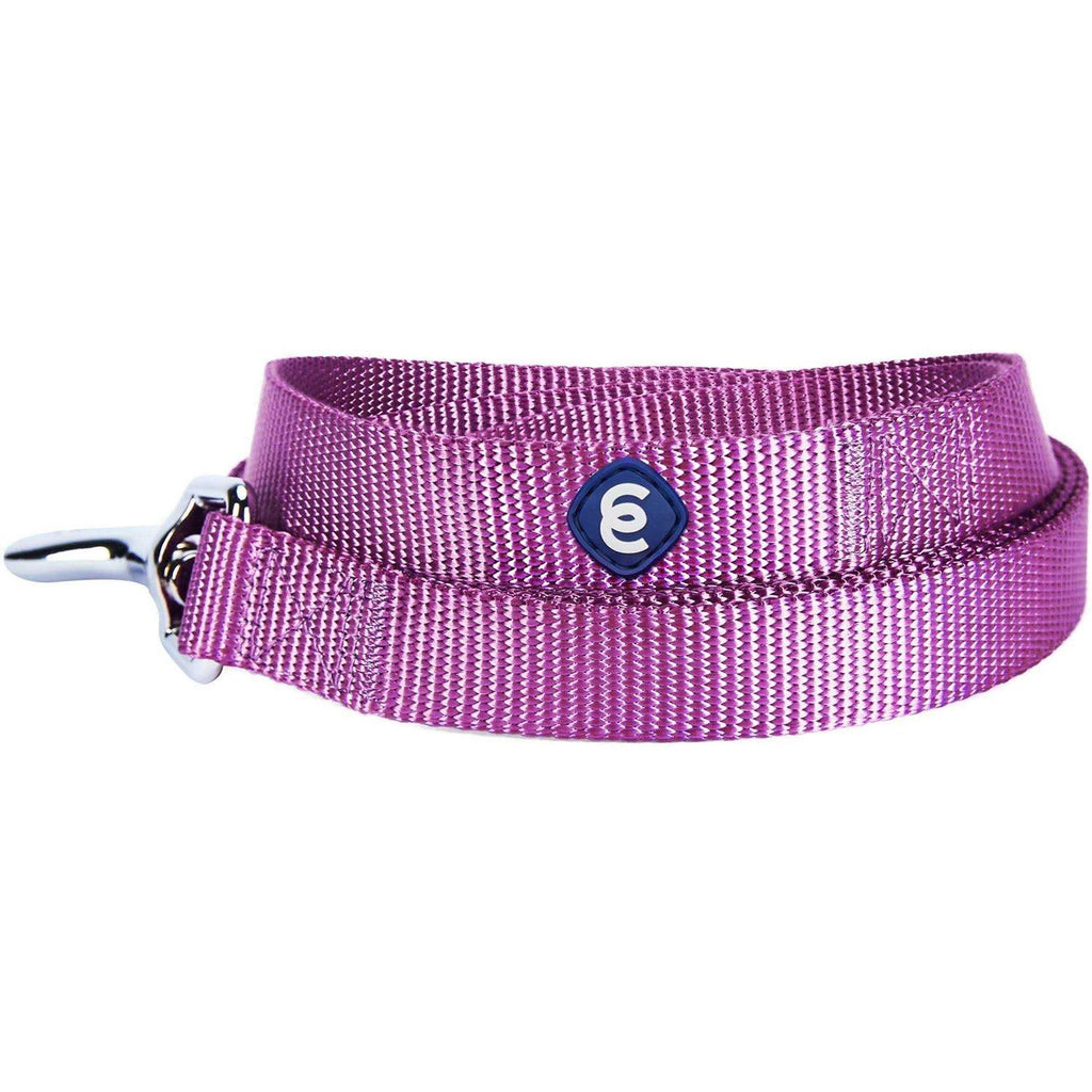 Classic Dog Leash I5879