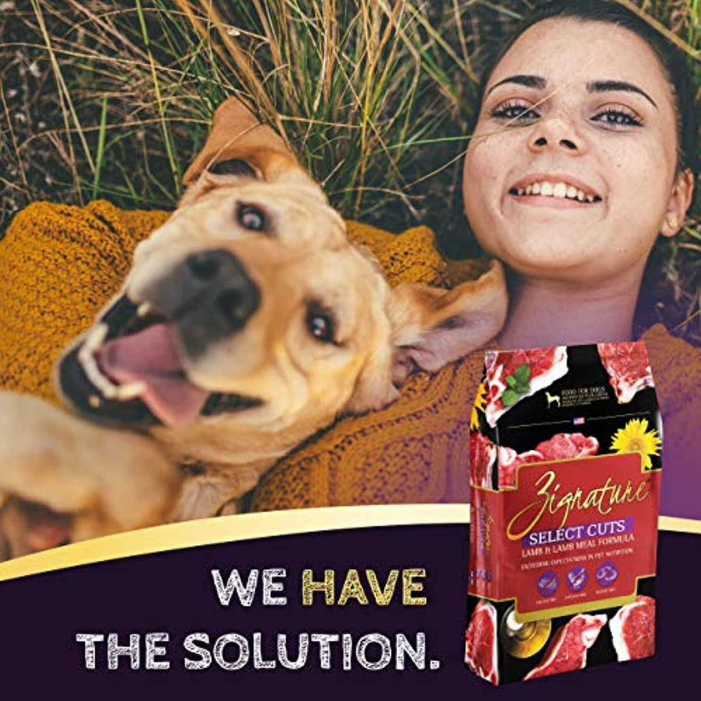 Lamb Formula Dry Dog Food A371