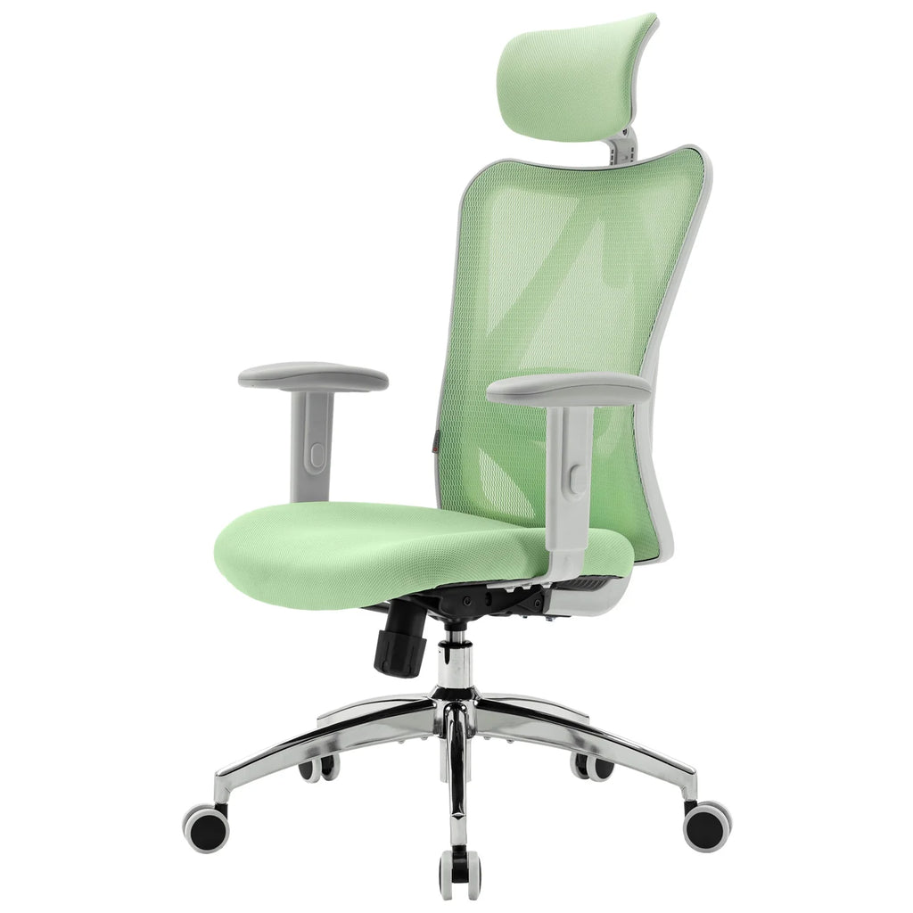 Black Ergonomic Mesh Office Chair with Adjustable Lumbar Support J511597