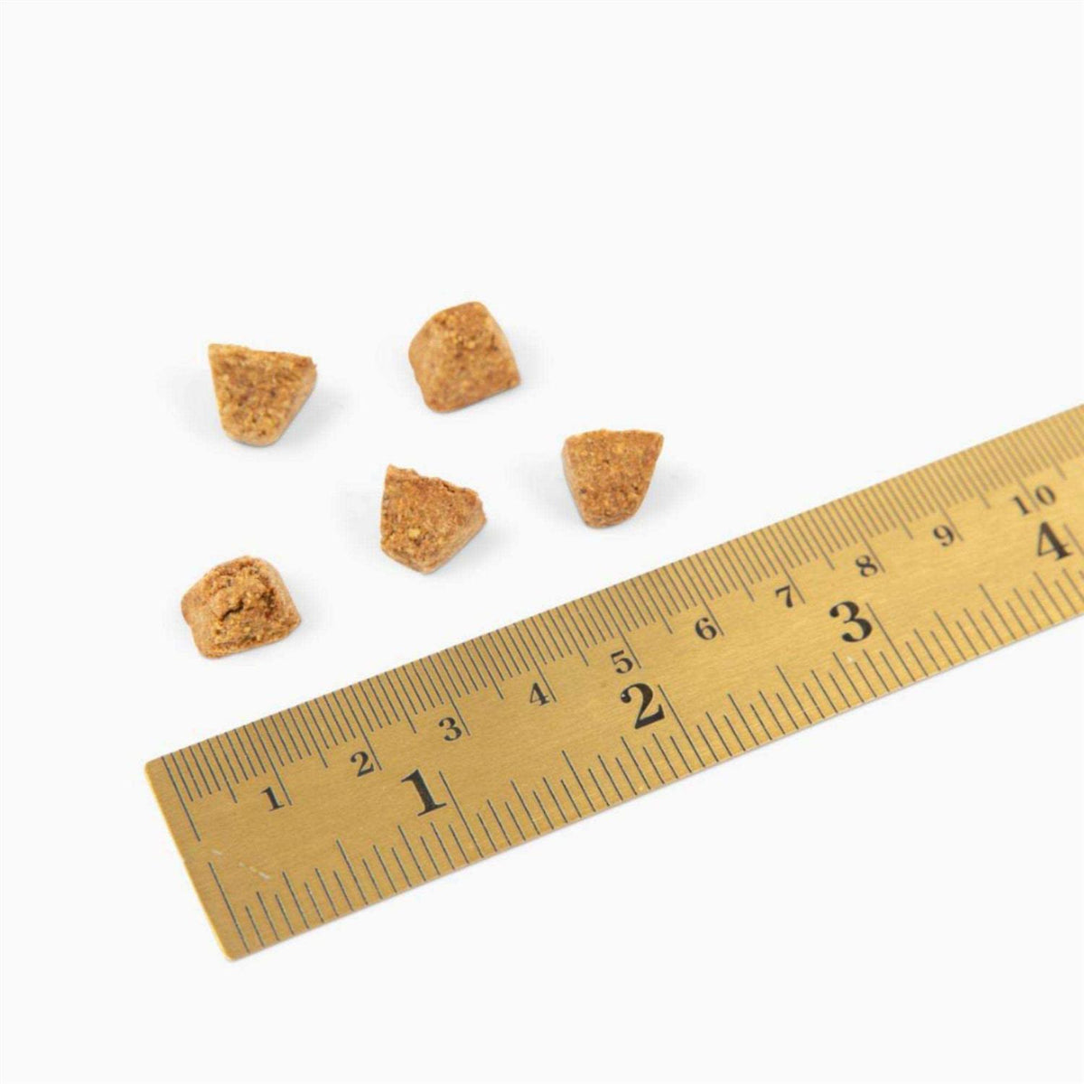 Dry Dog Food M1496