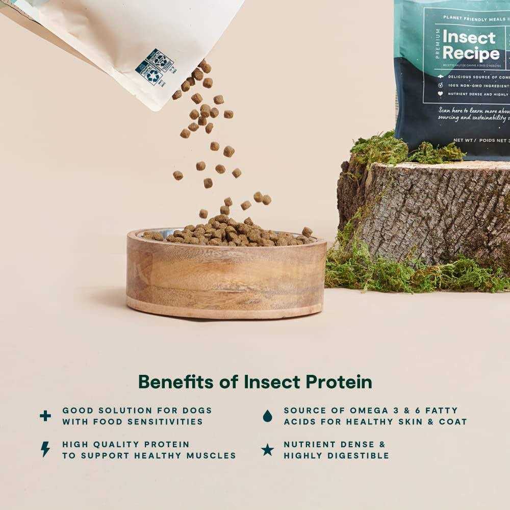Premium Recipe B975