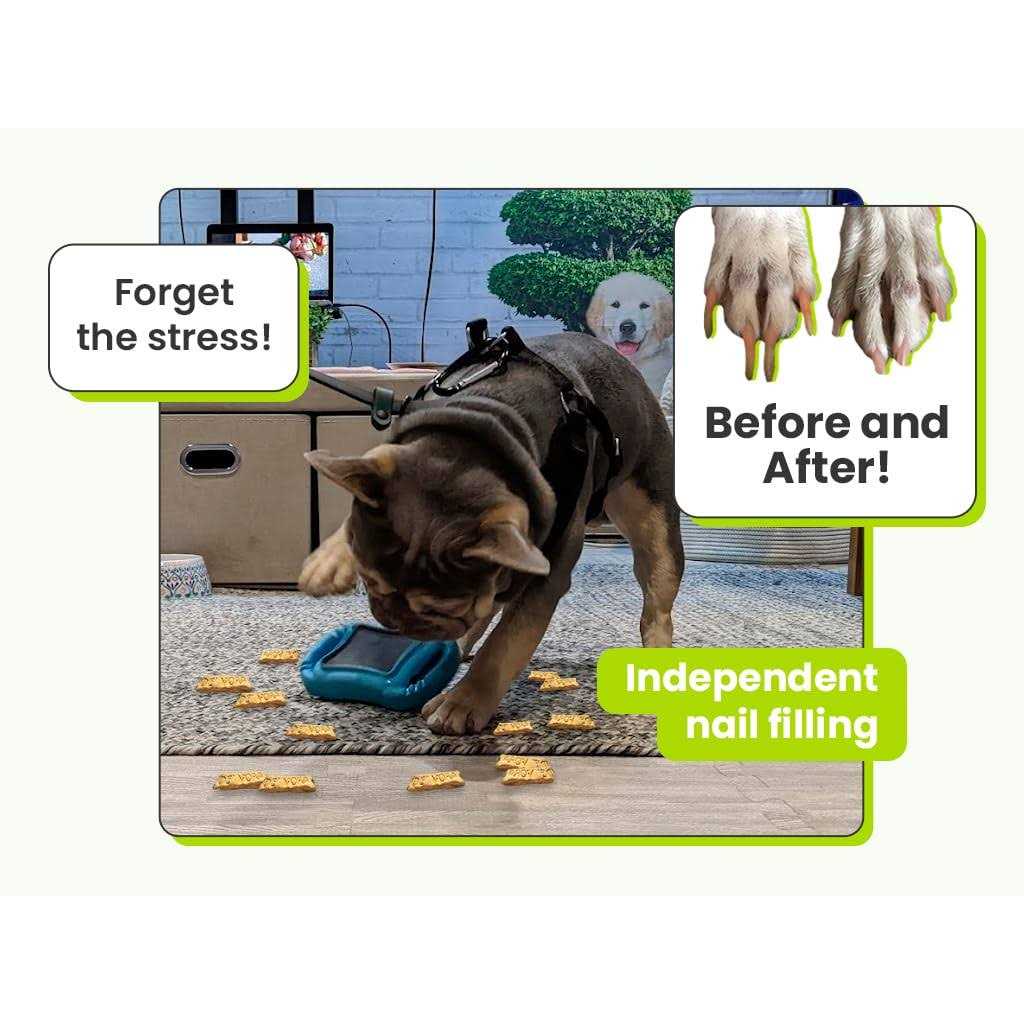Dog & Cat Grooming Toy R338