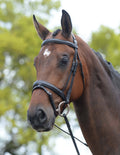 Brown Padded Bridle L444