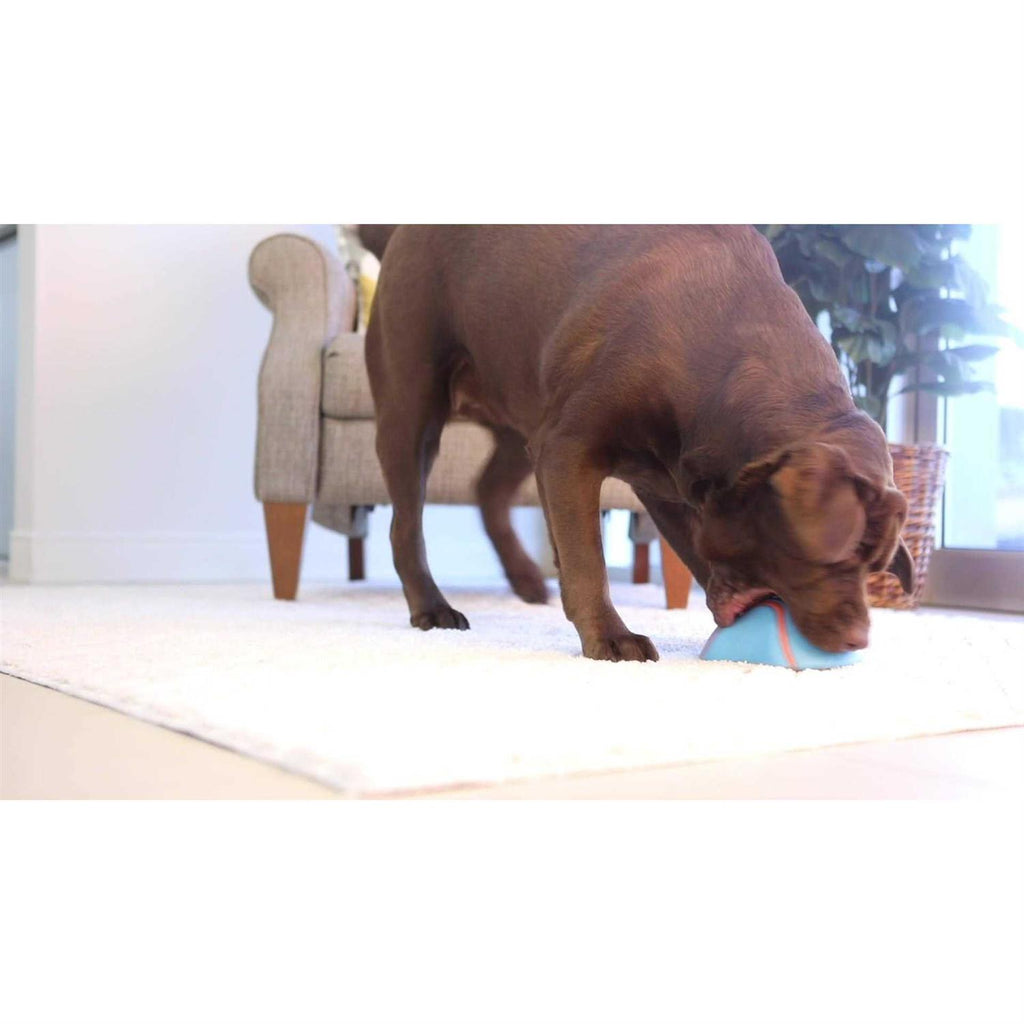 Indoor Dog Toy E129984