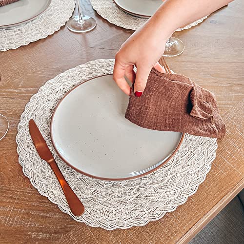 Set of 6 10 inch Ceramic Matte Dinner Plates F677