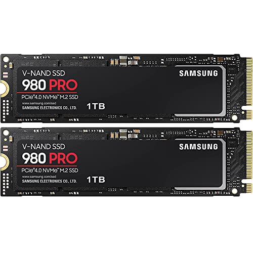 2-Pack PCIe 4.0 NVMe SSD R5561