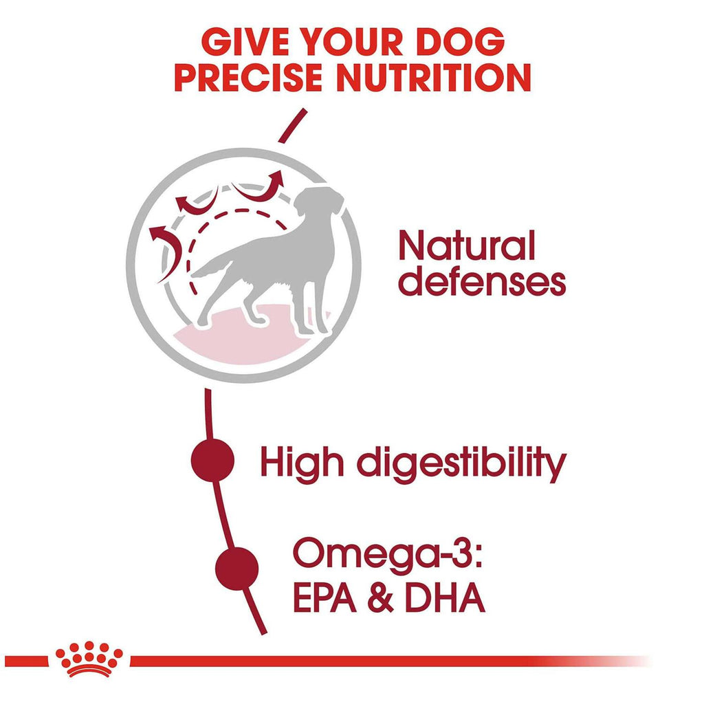 Medium Adult Dry Dog Food Y5482