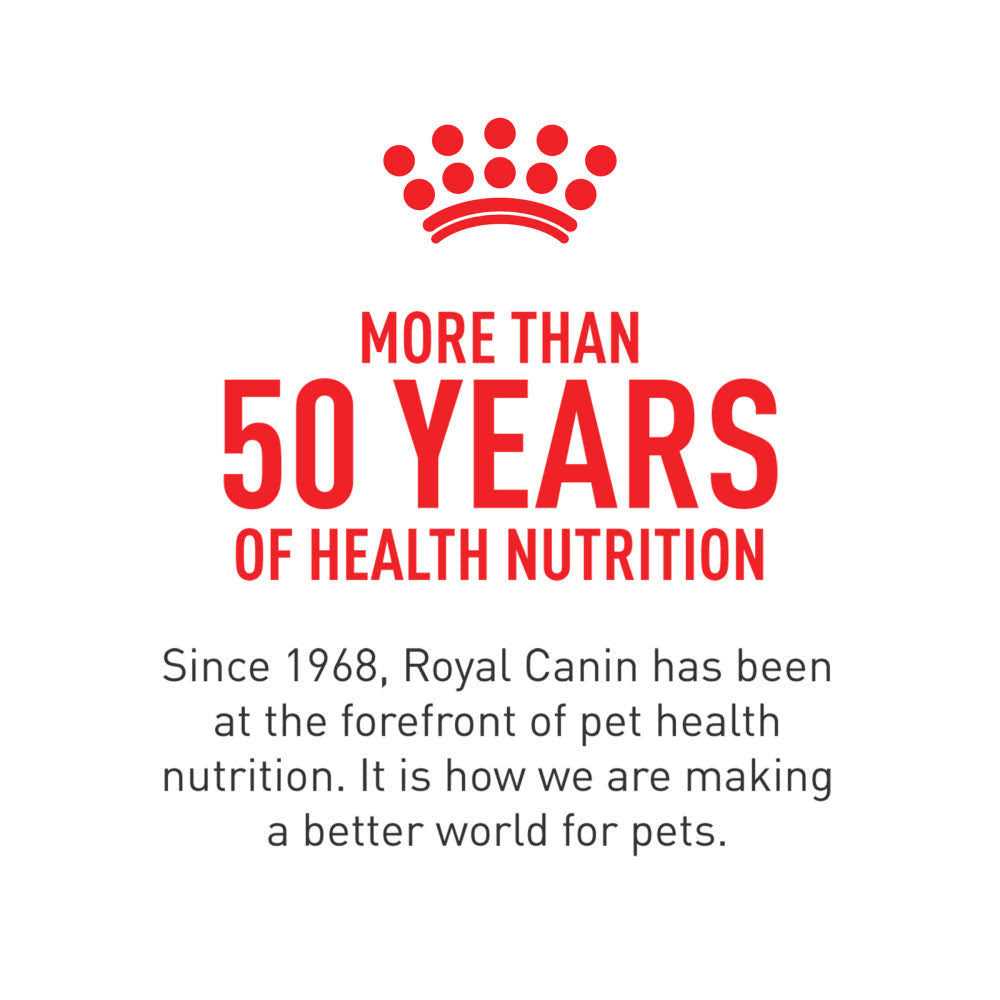 Oral Care Dry Cat Food K4111