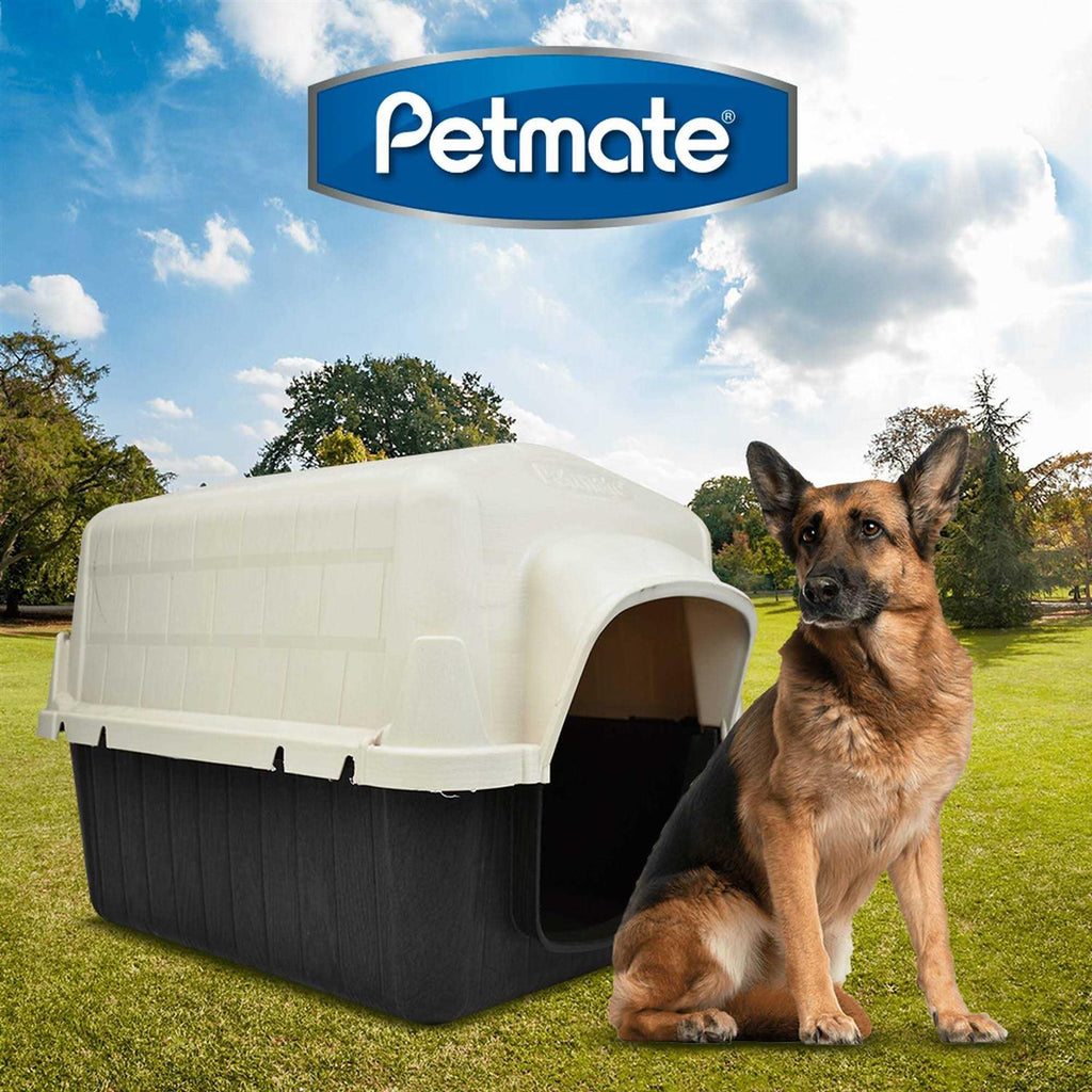 3 Dog House Y773