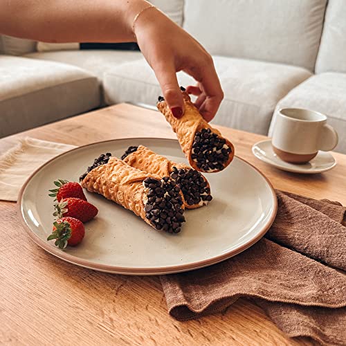 Set of 6 10 inch Ceramic Matte Dinner Plates F677