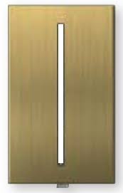 Antique Brass 1-Gang Wallplate A353837