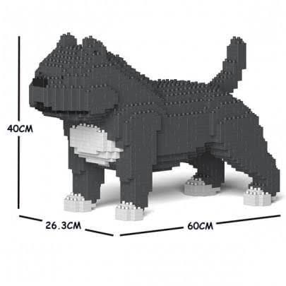 American Bully Gift Blue/Grey Medium G9321
