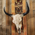 Long Horn Steer Wall Trophy W8525