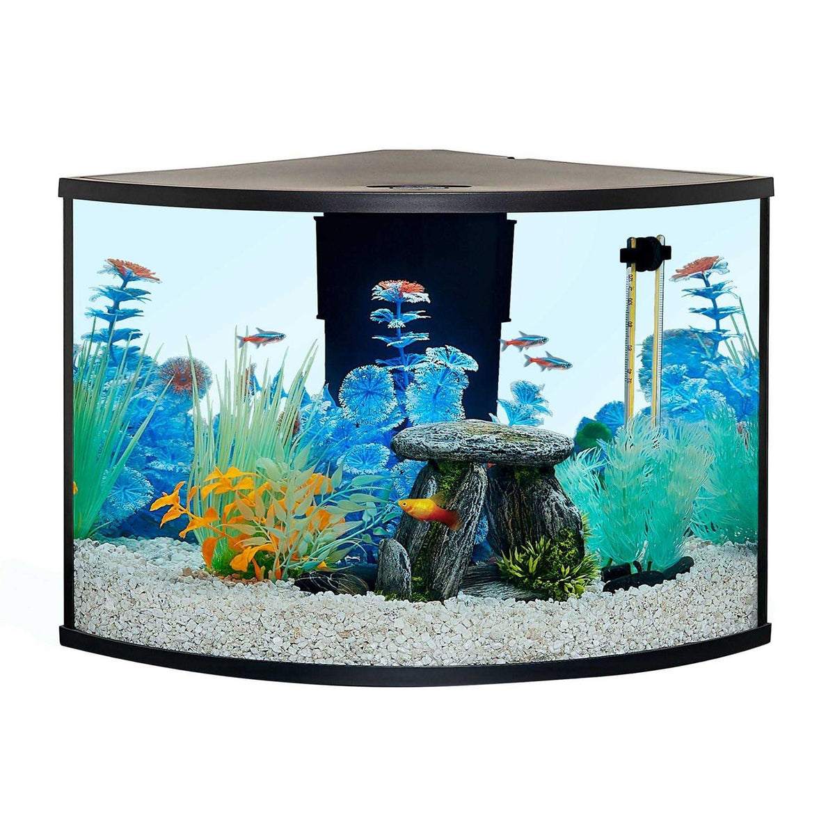 Corner Tank Aquarium Starter Kit M54879