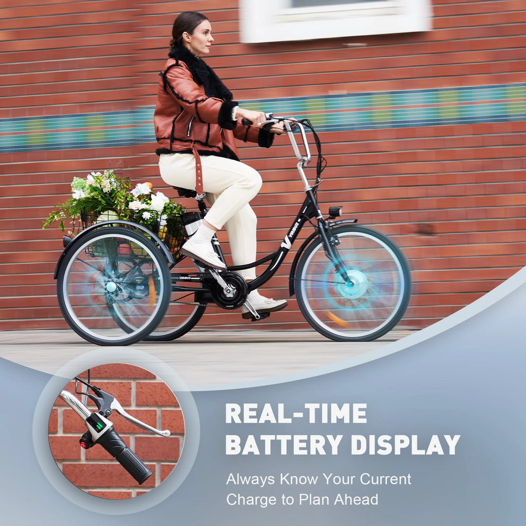 Electric Tricycle 250W Black G69693