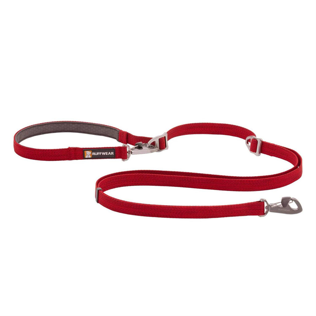 Leash Z365692