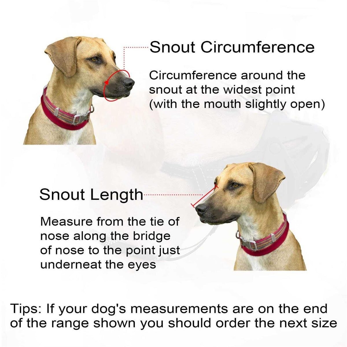 Adjustable Breathable Basket Dog Muzzle J552