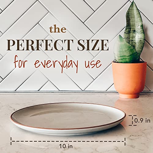 Set of 6 10 inch Ceramic Matte Dinner Plates F677