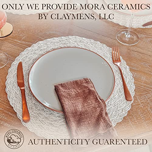 Set of 6 10 inch Ceramic Matte Dinner Plates F677