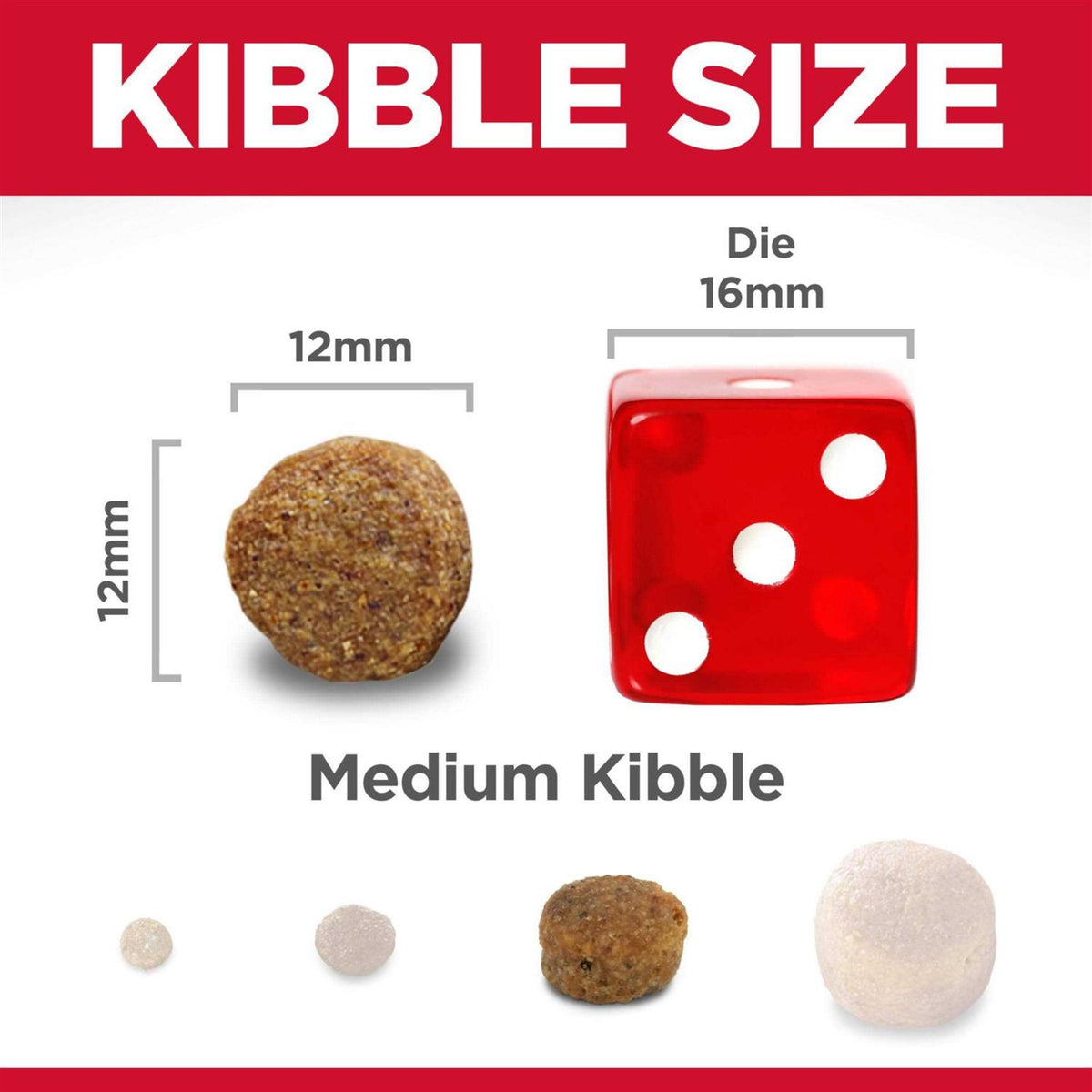 Dry Dog Food T8168