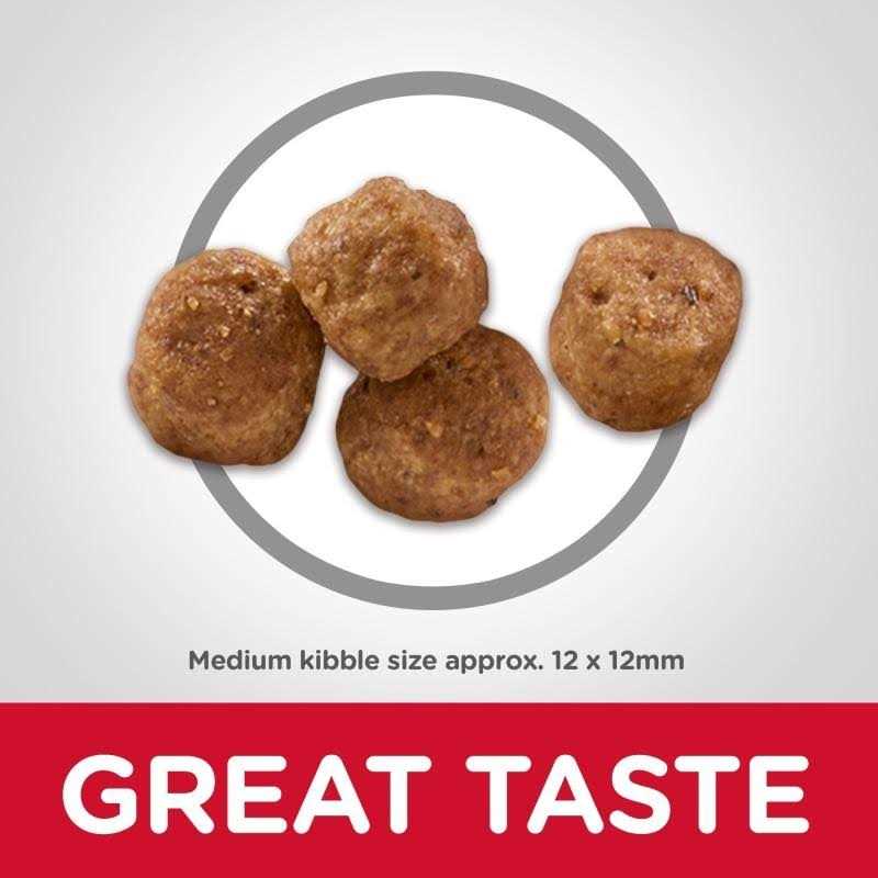 Dry Dog Food T8168