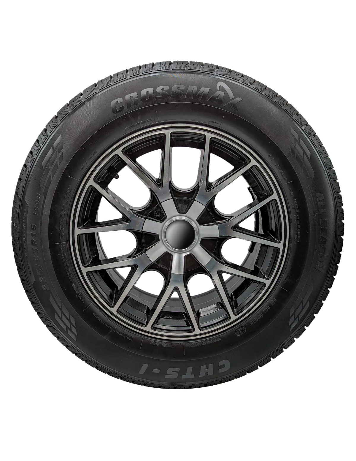 225/55R19 99V All-Season Tire Q133