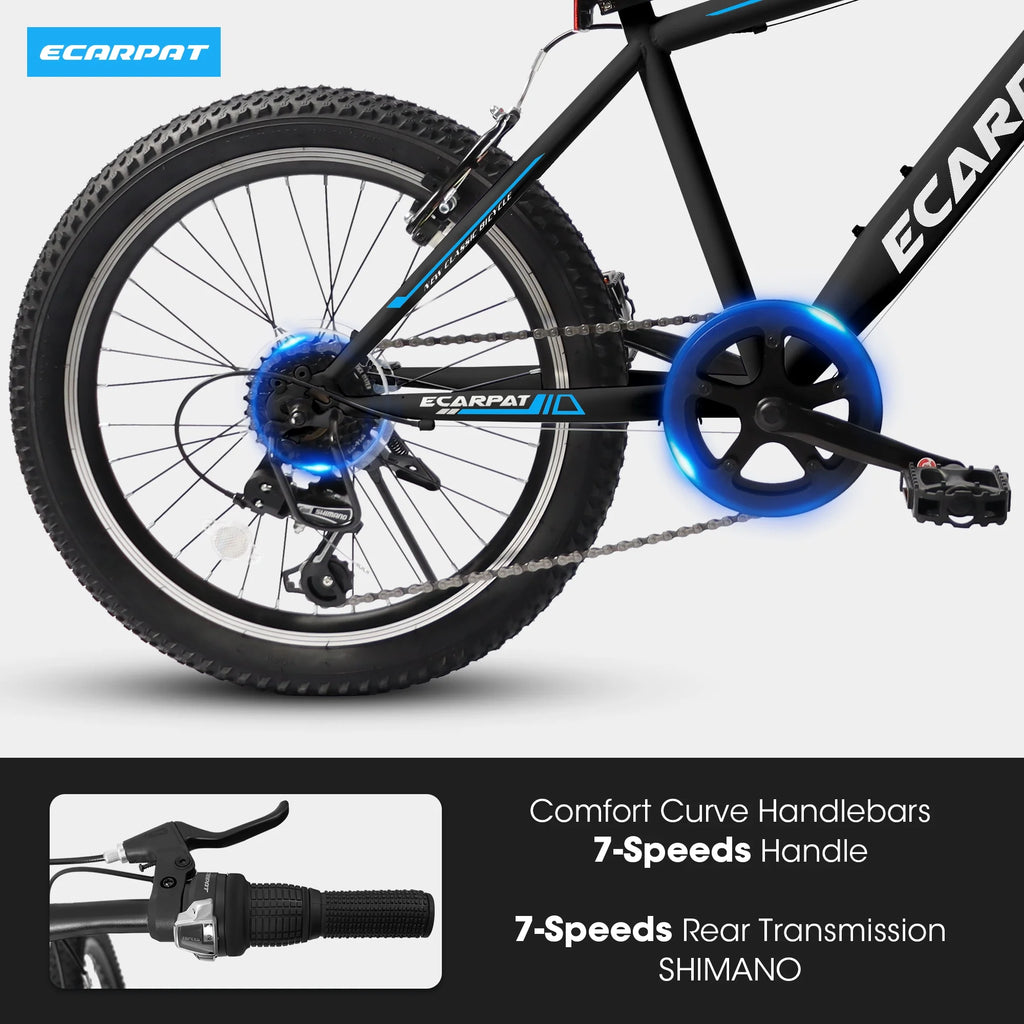 20 Inch Kids Mountain Bike, 7 Speed, Disc Brakes, Fat Tire, Black P380