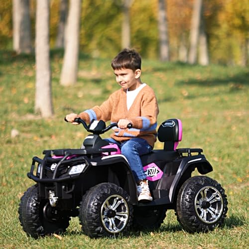 24V 2 Seater Kids Ride on ATV Car 4WD Quad Electric Vehicle H44539