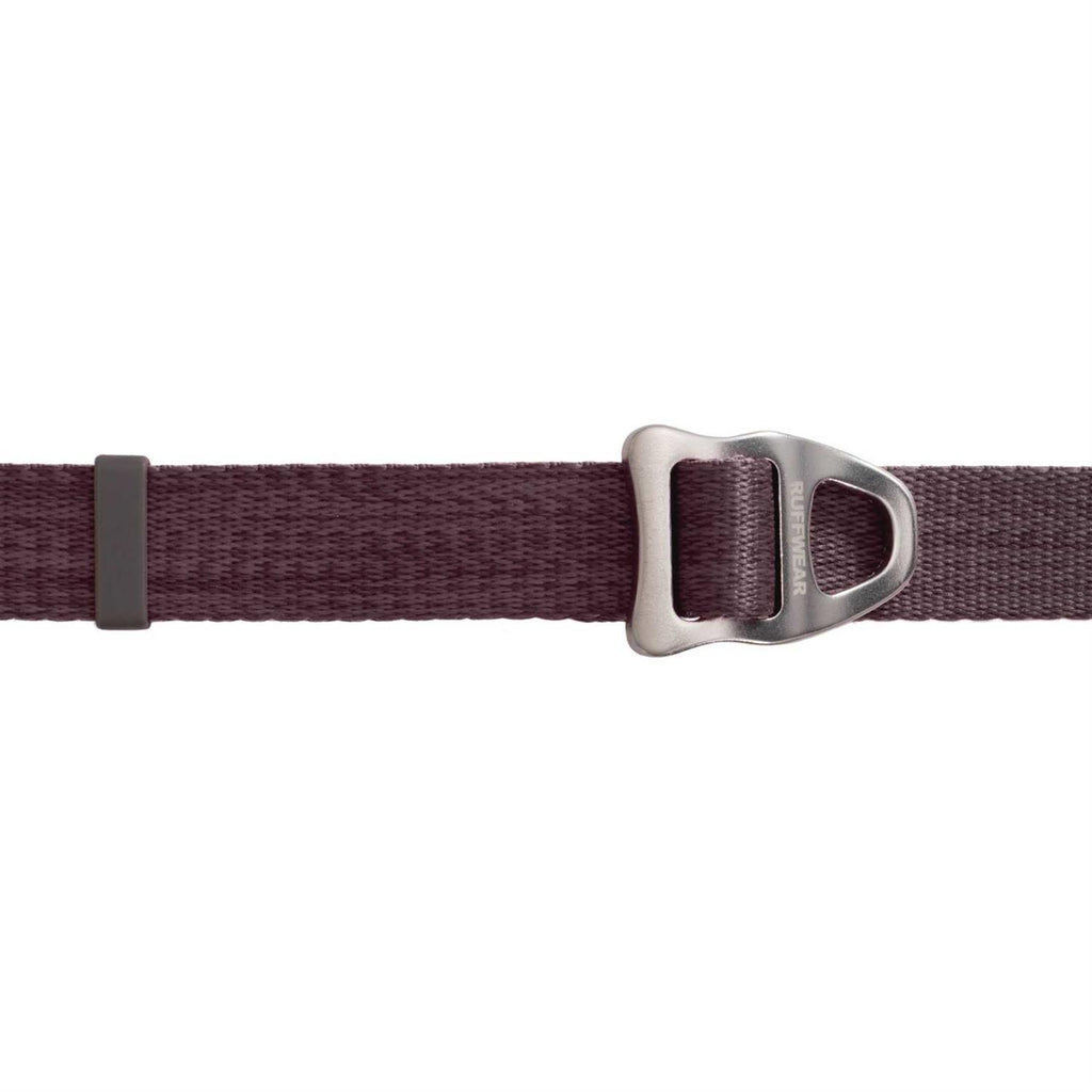 Leash Z365692