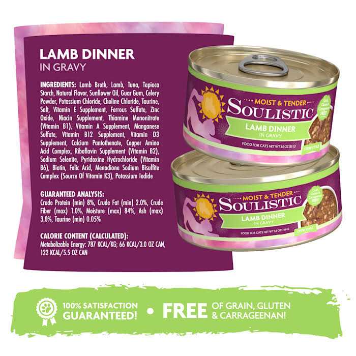 Wet Cat Food in Gravy L549