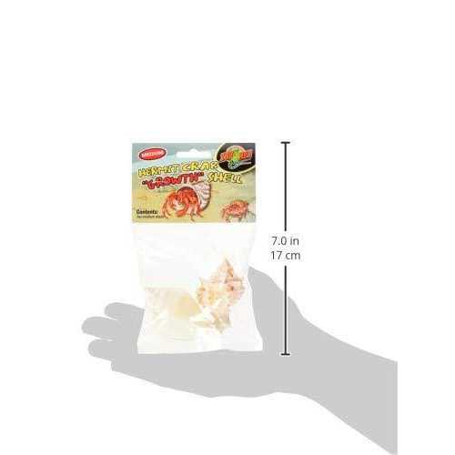 Hermit Crab Growth Shell U680292