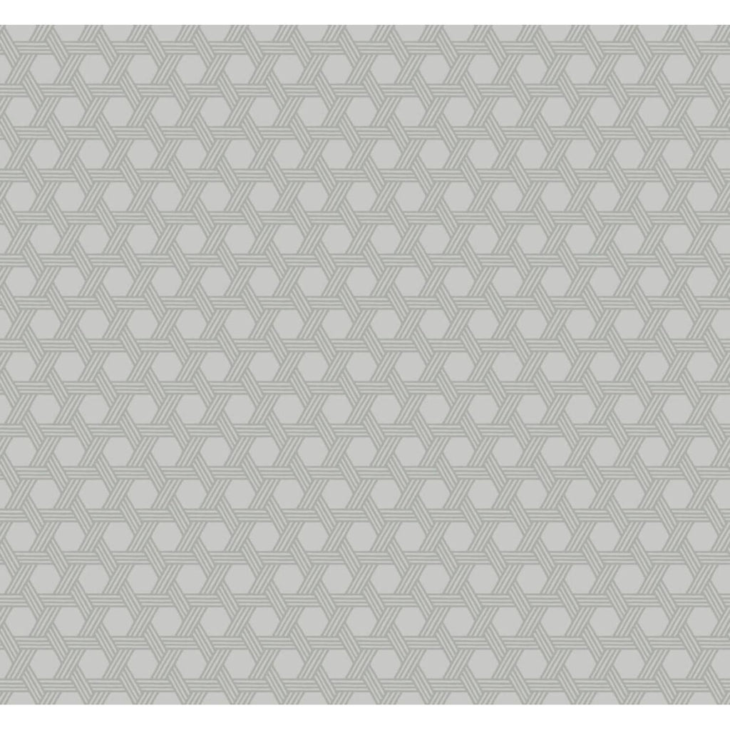 Cove Gray Wicker Wallpaper I83719