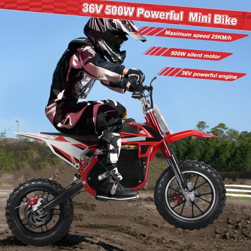 Red Black Electric Dirt Bike with 36V 500W Motor 10 Inch Wheels W836509