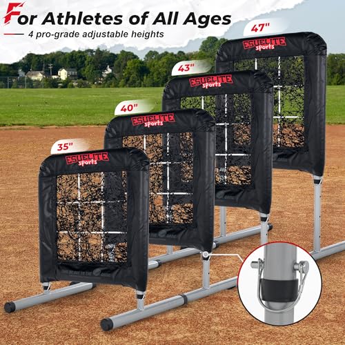 9 Hole Baseball Softball Pitching Net with Strike Zone Target D2783