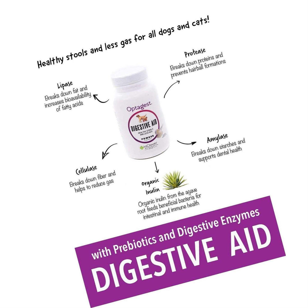 Organic Prebiotic and Natural Enzyme Powder N13946