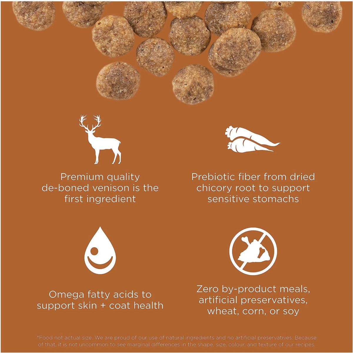 Limited Ingredient Grain-Free Dry Dog Food Y82771