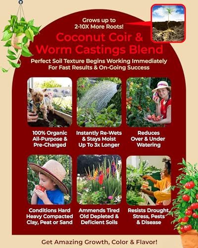 Organic Potting Soil for Plants & Vegetables Z98115
