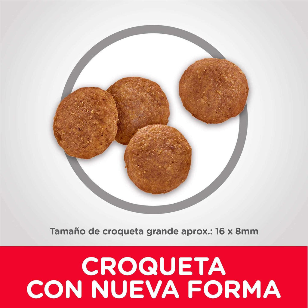 Adult Chicken & Barley Recipe Large Breed Dry Dog Food B6585