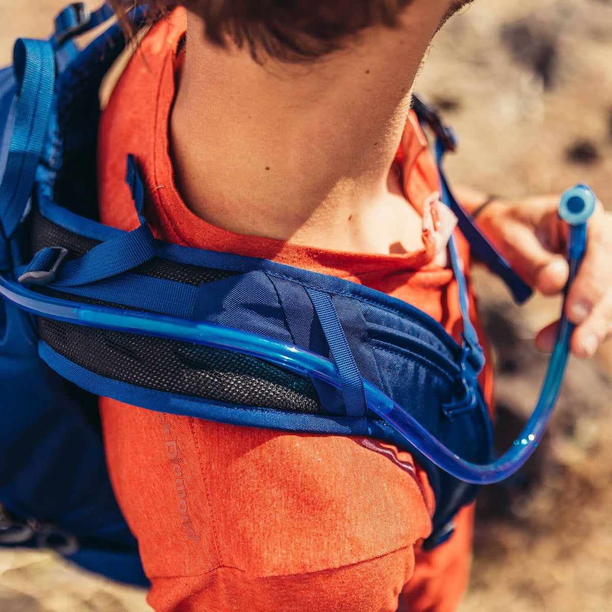 Brick Red Arrio 22 Backpack R598