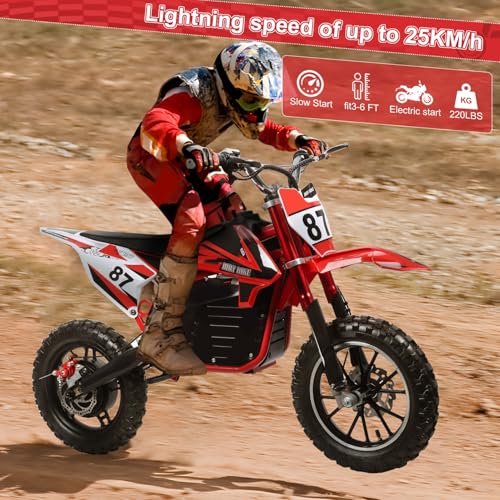 Red Black Electric Dirt Bike with 36V 500W Motor 10 Inch Wheels W836509