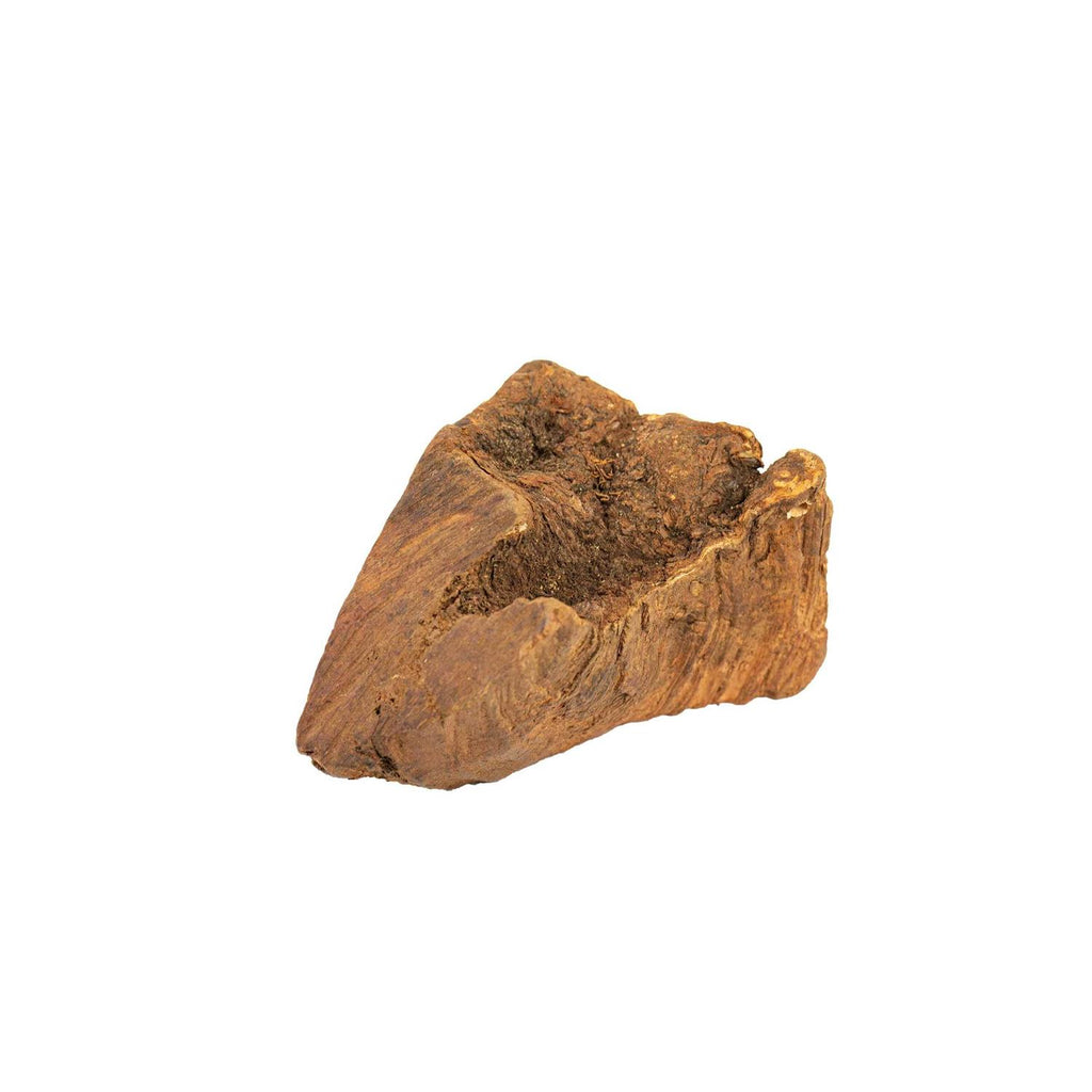 Chew Root for Dogs H334279